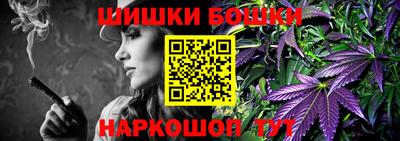 гашик Будённовск