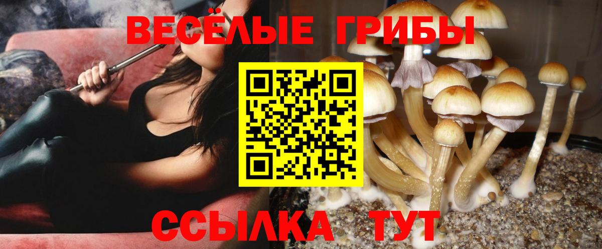Псилоцибиновые грибы ЛСД  Псилоцибиновые грибы Psilocybine cubensis  Волгоград  даркнет сайт  Вход с VPN 